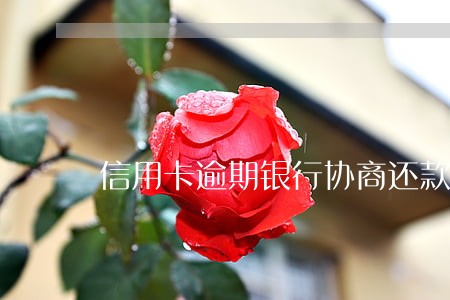信用卡逾期银行协商还款
