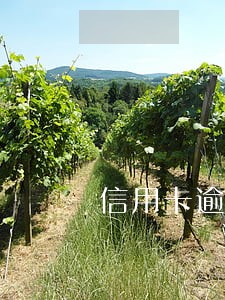 信用卡逾期银行协商还款怎么办 信用卡逾期银行协商还款怎么办