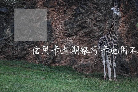 信用卡逾期银行卡也用不了了 信用卡逾期银行卡也用不了了