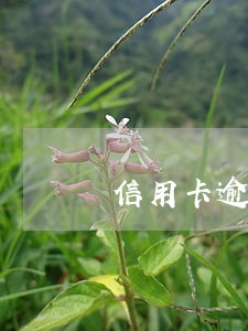 信用卡逾期银行卡可以存钱吗 信用卡逾期银行卡可以存钱吗