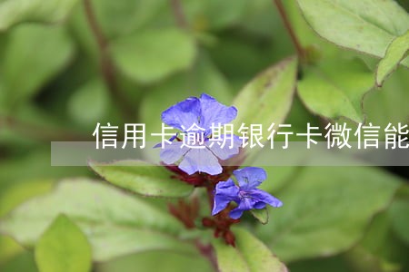 信用卡逾期银行卡微信能用吗 信用卡逾期银行卡微信能用吗