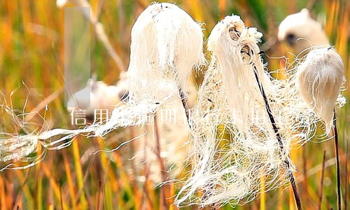 信用卡逾期银行卡扣工资 信用卡逾期银行卡扣工资