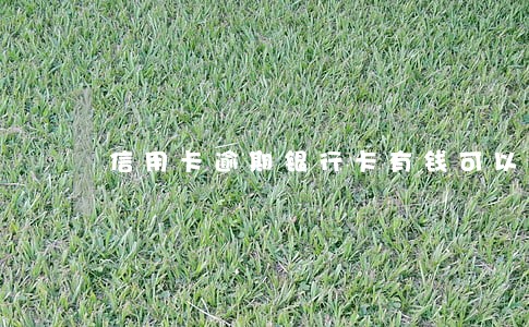 信用卡逾期银行卡有钱可以扣吗 信用卡逾期银行卡有钱可以扣吗