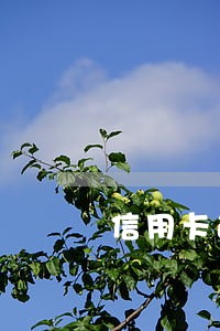 信用卡逾期银行卡联系人 信用卡逾期银行卡联系人