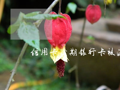 信用卡逾期银行卡被冻结了怎么办 信用卡逾期银行卡被冻结了怎么办