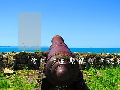 信用卡逾期银行卡被锁了怎么办