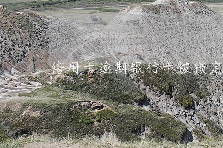 信用卡逾期银行卡被锁定怎么办