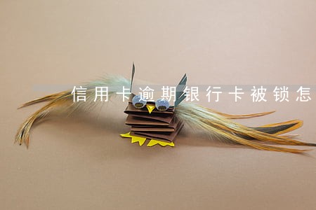 信用卡逾期银行卡被锁怎么办 信用卡逾期银行卡被锁怎么办