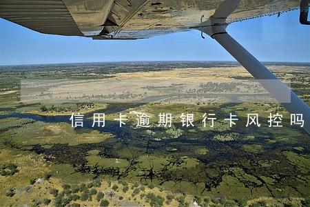 信用卡逾期银行卡风控吗 信用卡逾期银行卡风控吗