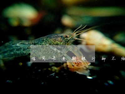 信用卡逾期银行却不给协商 信用卡逾期银行却不给协商