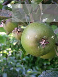 信用卡逾期银行原因 信用卡逾期银行原因
