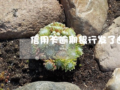 信用卡逾期银行发了邮件怎么办 信用卡逾期银行发了邮件怎么办