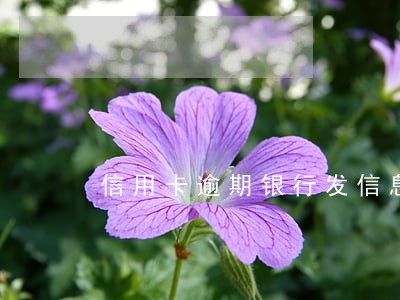 信用卡逾期银行发信息上诉上门