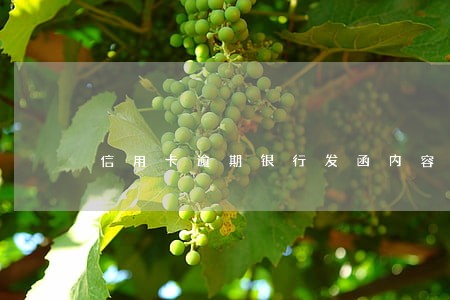 信用卡逾期银行发函内容
