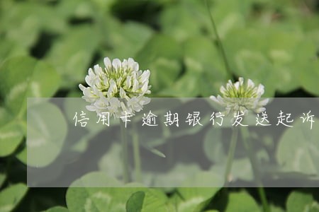 信用卡逾期银行发送起诉警告 信用卡逾期银行发送起诉警告
