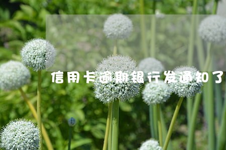 信用卡逾期银行发通知了