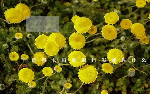 信用卡逾期银行发邮件什么意思 信用卡逾期银行发邮件什么意思