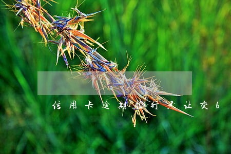 信用卡逾期银行只让交620 信用卡逾期银行只让交620