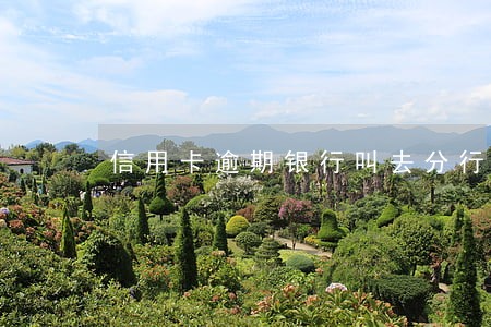 信用卡逾期银行叫去分行协商 信用卡逾期银行叫去分行协商