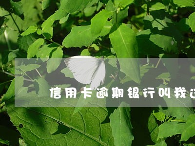 信用卡逾期银行叫我过去 信用卡逾期银行叫我过去