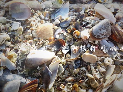 信用卡逾期银行可以冻结资产吗 信用卡逾期银行可以冻结资产吗