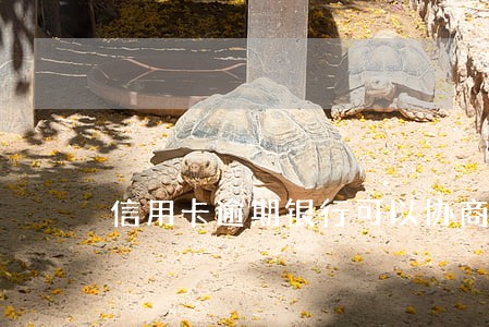 信用卡逾期银行可以协商分期吗 信用卡逾期银行可以协商分期吗