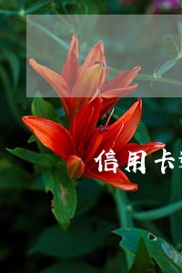 信用卡逾期银行可以扣款吗 信用卡逾期银行可以扣款吗