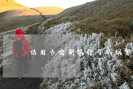 信用卡逾期银行可以报警吗 信用卡逾期银行可以报警吗