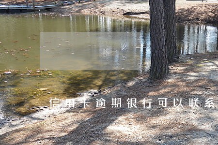 信用卡逾期银行可以联系其他人吗