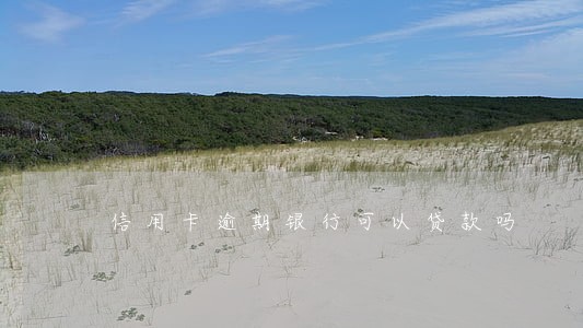 信用卡逾期银行可以贷款吗 信用卡逾期银行可以贷款吗