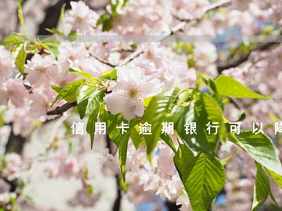 信用卡逾期银行可以降额度吗 信用卡逾期银行可以降额度吗