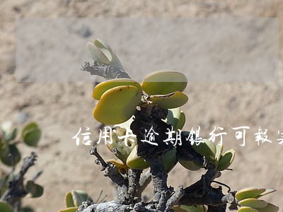 信用卡逾期银行可报案吗 信用卡逾期银行可报案吗