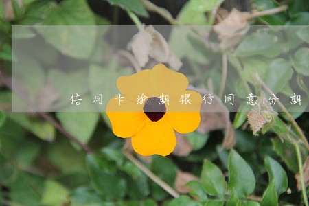 信用卡逾期银行同意分期