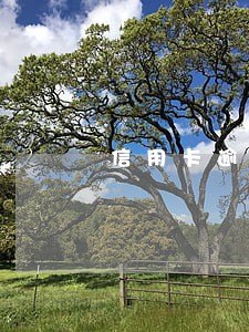 信用卡逾期银行同意分期协议