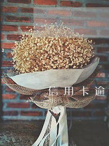 信用卡逾期银行同意分期怎么办