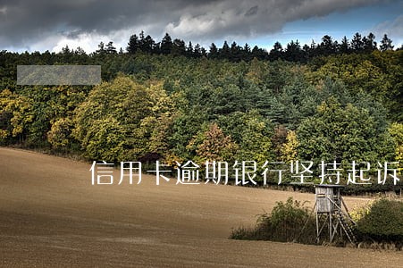 信用卡逾期银行坚持起诉 信用卡逾期银行坚持起诉