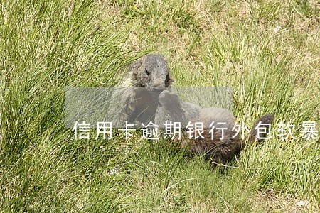 信用卡逾期银行外包软暴力 信用卡逾期银行外包软暴力