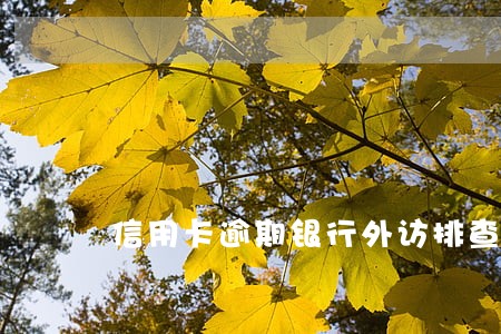 信用卡逾期银行外访排查