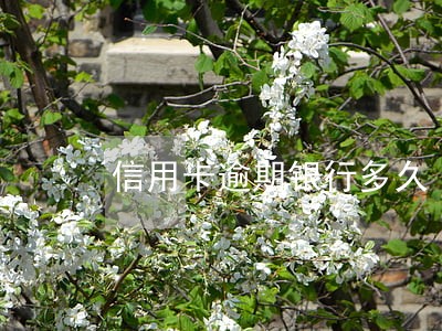 信用卡逾期银行多久 信用卡逾期银行多久