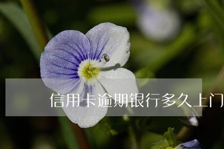 信用卡逾期银行多久上门 信用卡逾期银行多久上门