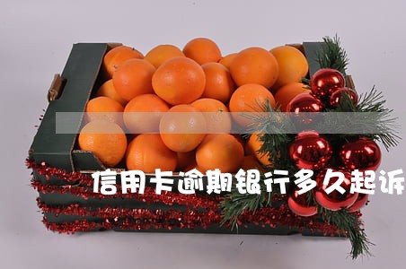 信用卡逾期银行多久起诉 信用卡逾期银行多久起诉