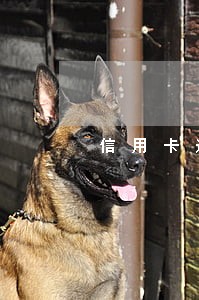 信用卡逾期银行天天打家里人电话