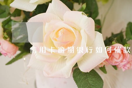 信用卡逾期银行如何催款 信用卡逾期银行如何催款