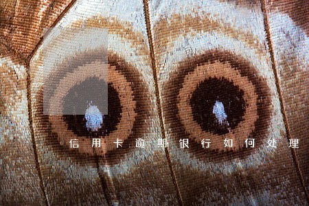 信用卡逾期银行如何处理