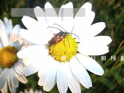 信用卡逾期银行如何报案 信用卡逾期银行如何报案