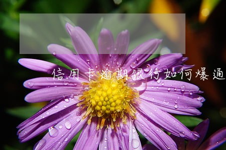 信用卡逾期银行如何爆通信录 信用卡逾期银行如何爆通信录