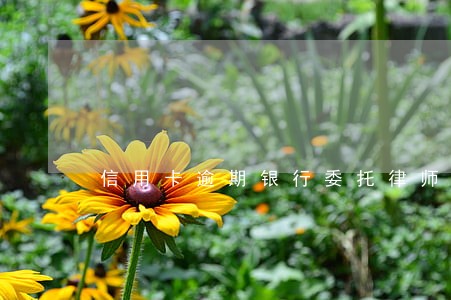 信用卡逾期银行委托律师找我谈话