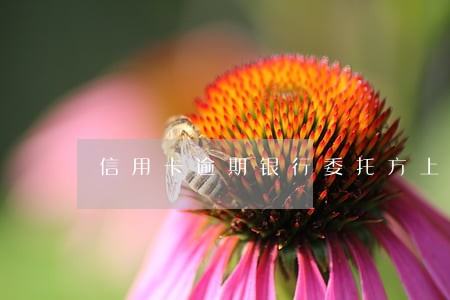 信用卡逾期银行委托方上门