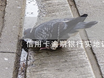 信用卡逾期银行实地调查