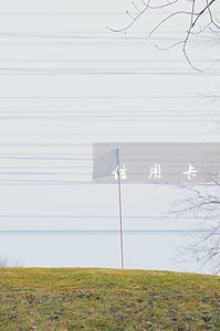 信用卡逾期银行审核员 信用卡逾期银行审核员